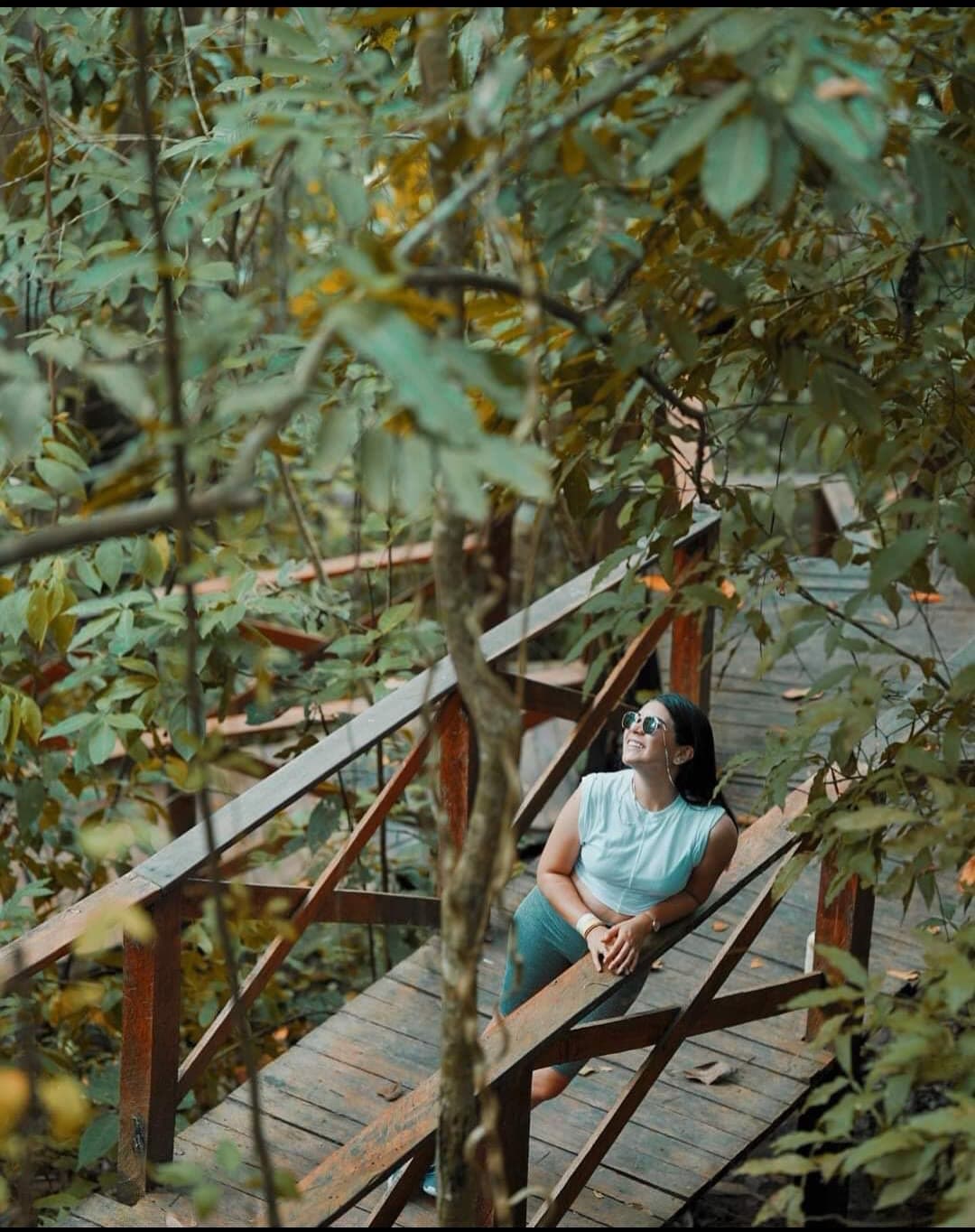 Puente colgante en un sendero de selva